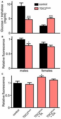 The Role of Monoaminergic Neurotransmission for Metabolic Control in the Fruit Fly Drosophila Melanogaster
